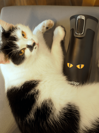 Kubek termiczny - Contigo West Loop 2.0 • 470ml • Cat Eyes”